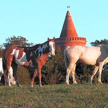 Hotell Zur Burg Gmbh