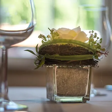 Zur Burg Gmbh 3* Burg Stargard